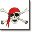 Piraten - Party