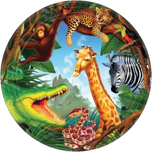 Wild Life - Pappteller